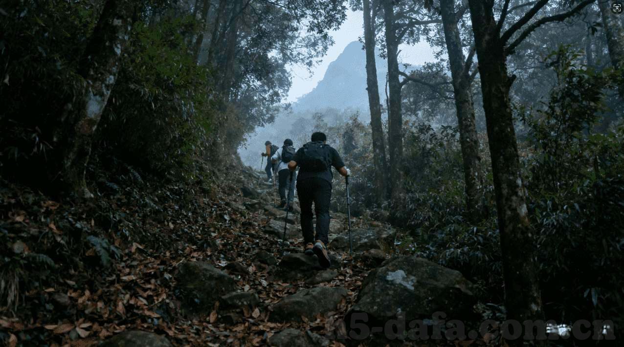 罗纳尔多几届世界杯-罗纳尔多，绿茵场上的传奇与世界杯的荣耀篇章
