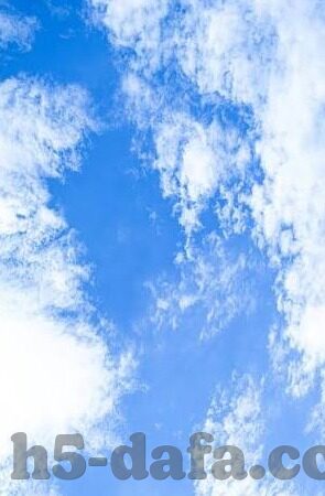 世界杯预种子队-世界杯预种子队，荣耀与挑战并存