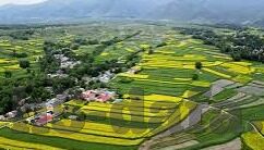 真钱森林舞会电玩-真钱森林舞会电玩，一场虚拟与现实的交织体验